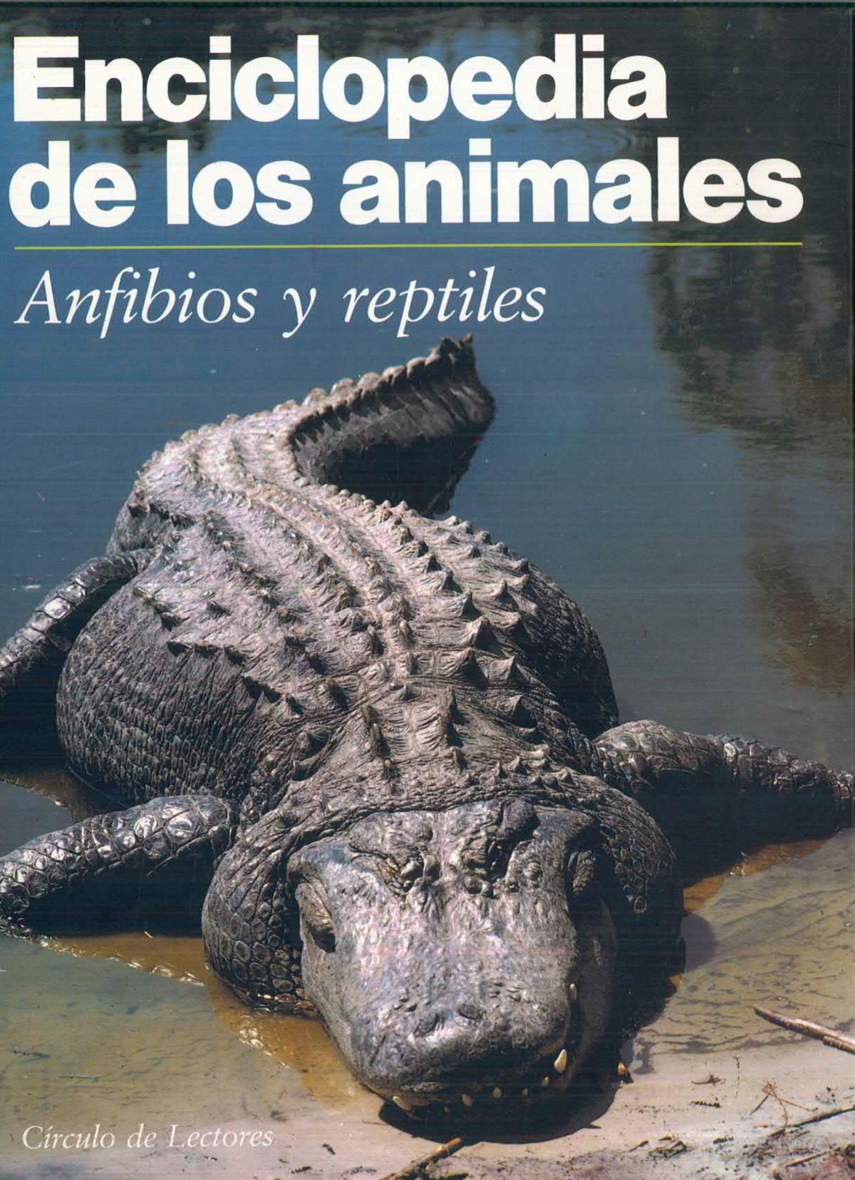 «Enciclopedia de los Animales: Anfibios y reptiles»