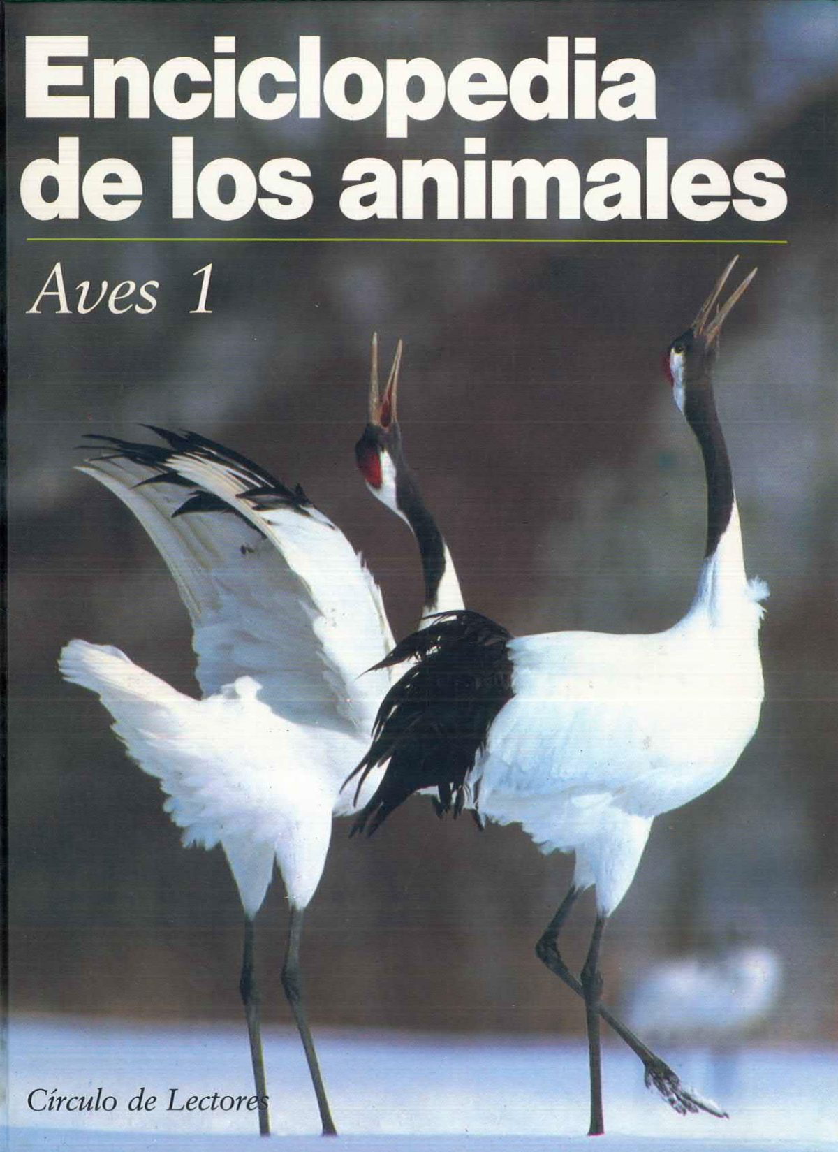 «Enciclopedia de los Animales: Aves 1″