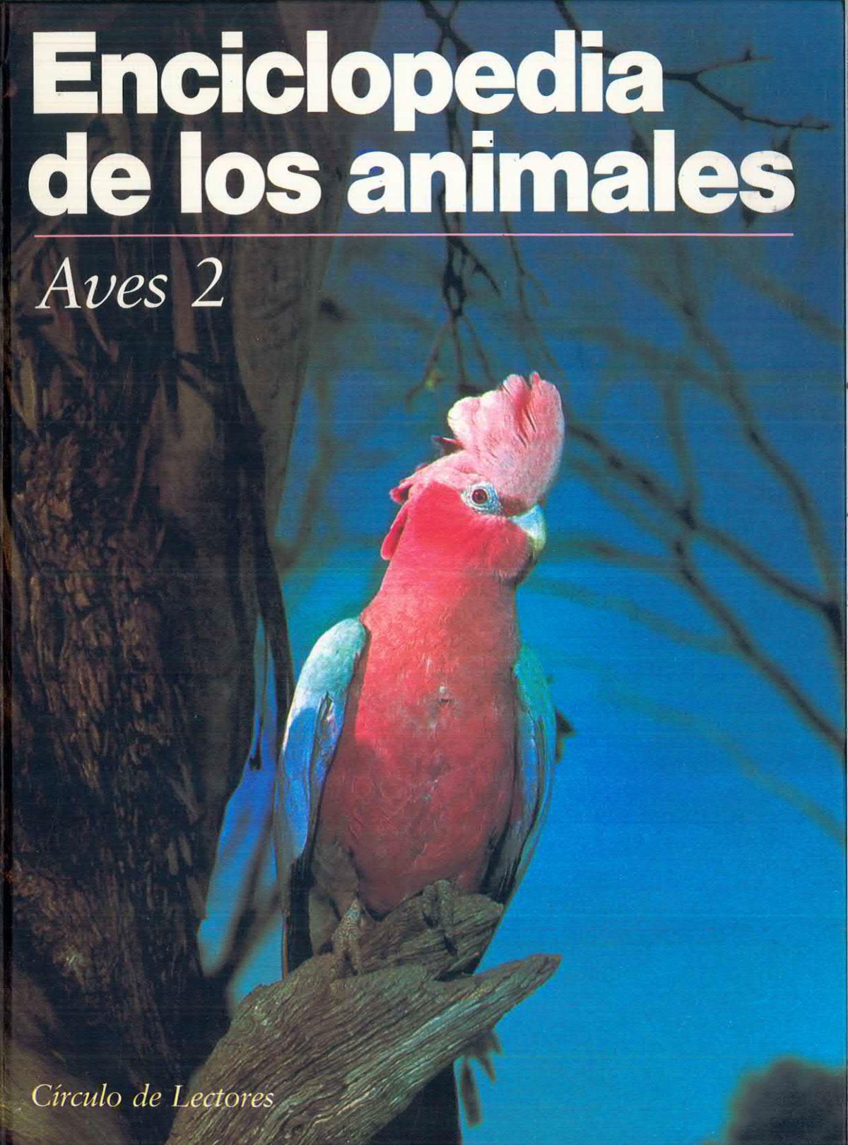 «Enciclopedia de los Animales: Aves 2″