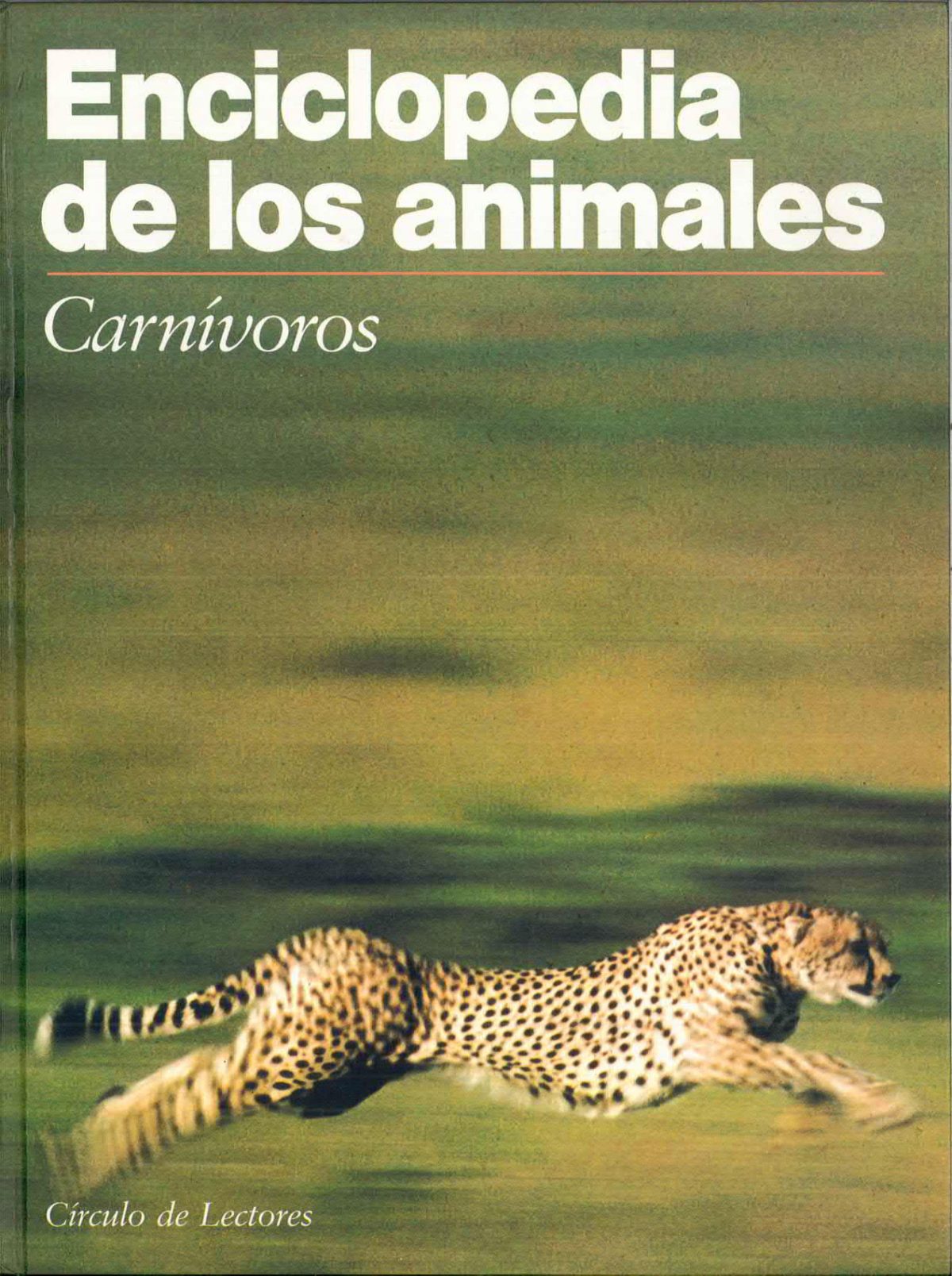 «Enciclopedia de los Animales: Carnívoros»