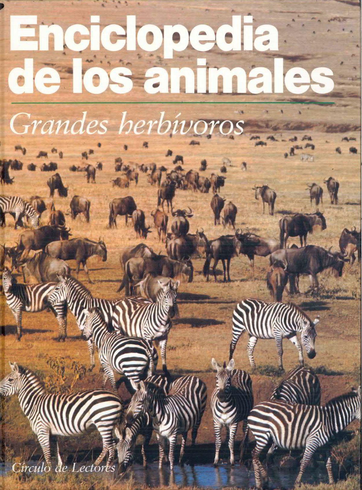 «Enciclopedia de los Animales: Grandes herbívoros»