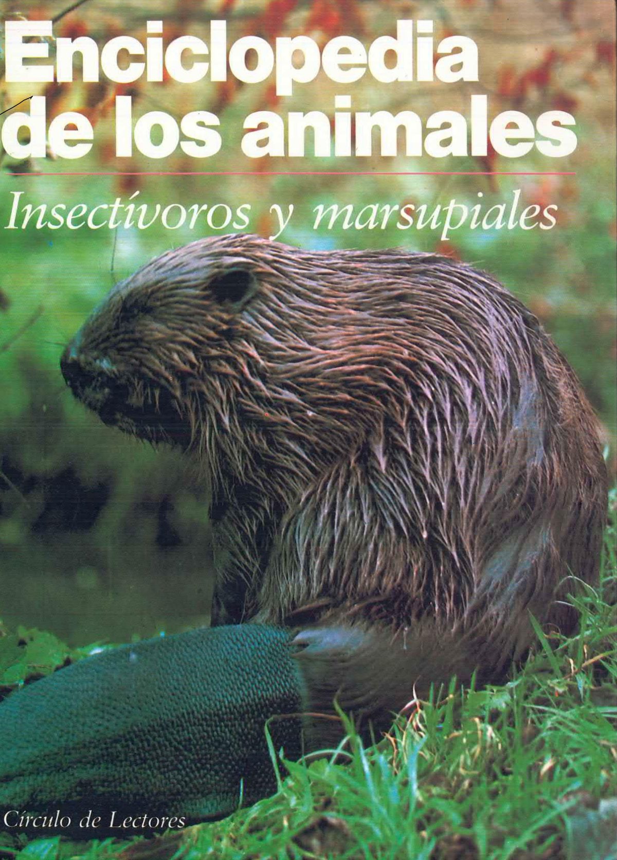 «Enciclopedia de los Animales: Insectívoros y marsupiales»